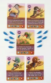 klonowa-dolina-zestaw-minidodatkow-lucrum