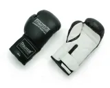 rekawice-bokserskie-sparingowe-evolution-6-oz-rodzaj-bokserskie