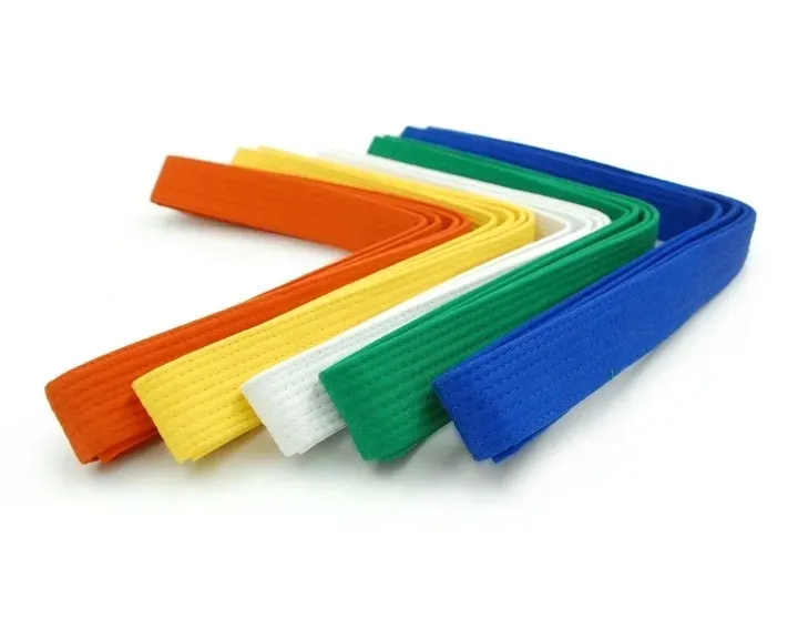 pas-do-kimona-evolution-karate-judo-aikido-280-cm-plec-produkt-uniseks