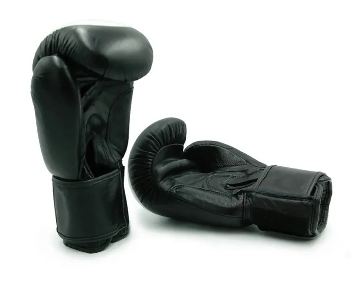 rekawice-bokserskie-sparingowe-evolution-pro-14-oz-rodzaj-bokserskie