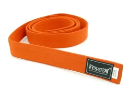 pas-do-kimona-pasy-karate-judo-aikido-240-cm