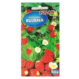 poziomka-bezrozlogowa-rujana-02g-wieloletnia
