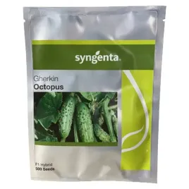 ogorek-gruntowy-octopus-f1-500-nasion-syngenta
