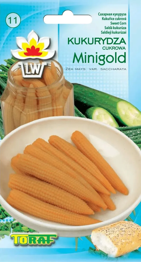 kukurydza-cukrowa-minigold-bardzo-smaczna