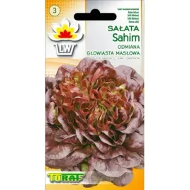 salata-sahim-maslowa-czerwona-srednio-wczesna