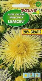 aster-igielkowy-lemon-12g-polan-zolty