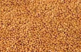 proso-zolte-1-kg-karma-do-ptakow-papug-kanarkow