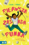 pierwsza-zasada-punka-stan-powystawowy