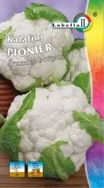 kalafior-pionier-wiosenno-letni-i-jesienny-nasiona