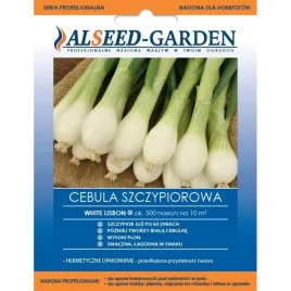 cebula-alisa-white-lisbon-nasiona-holenderskie