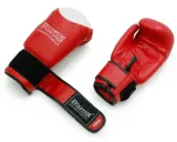 rekawice-bokserskie-sparingowe-evolution-pro-12-oz-stan-nowy