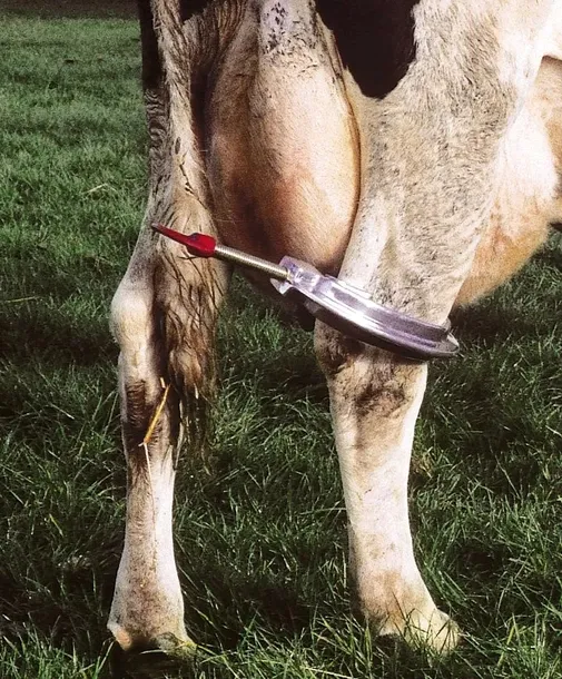 klamra-na-sciegna-akcesoria-pokrowiec