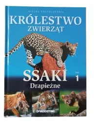 madra-glowka-zagadki-i-lamiglowki-dla-dzieci