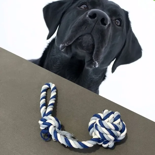 szarpak-dla-psa-big-waga-0-02-g