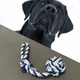 szarpak-dla-psa-big-waga-0-02-g