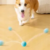 pilka-dla-kota-usb-kod-producenta-111-zabawka-dla-kota-psa-interaktywna