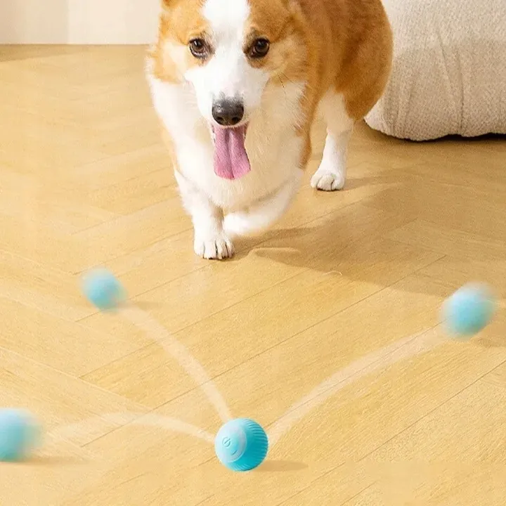 pilka-dla-kota-usb-stan-nowy