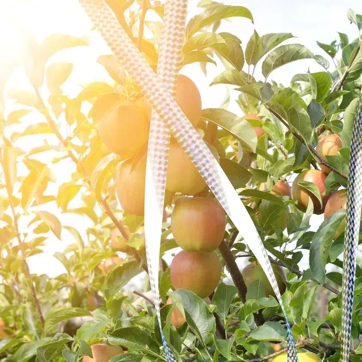 tasma-na-ptaki-2x-stan-nowy