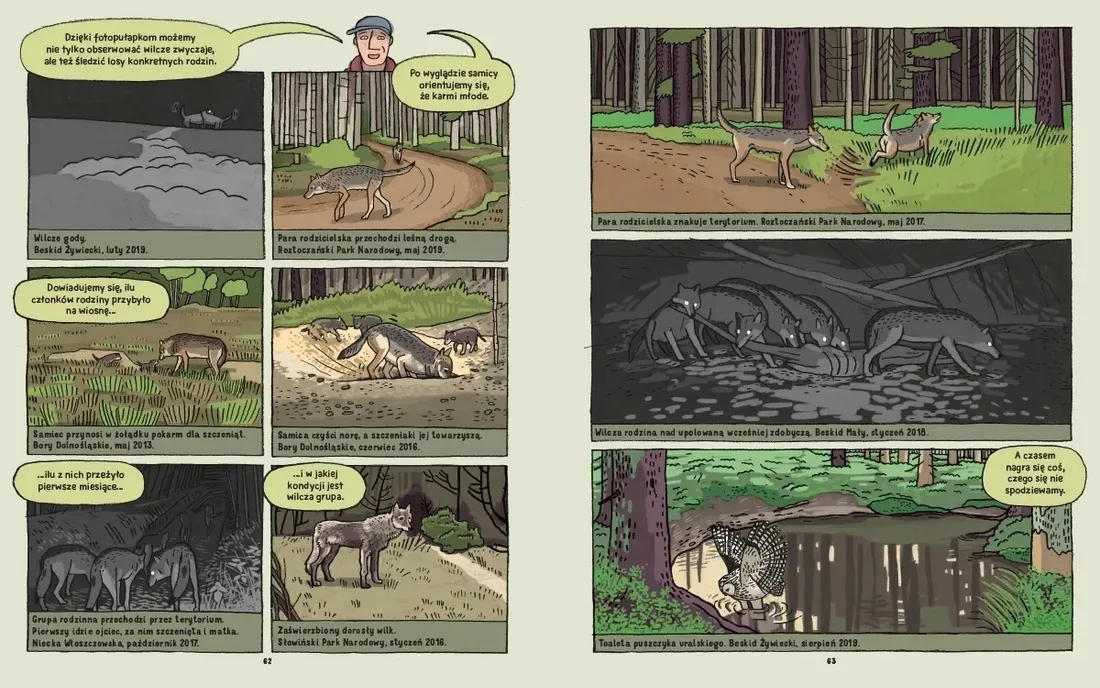 wilki-historie-prawdziwe-stan-nowy