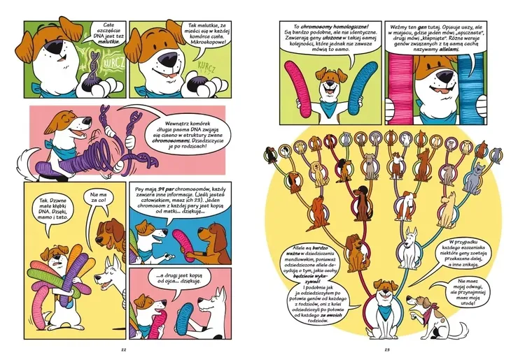 psy-od-drapieznikow-do-obroncow-jezyk-polski