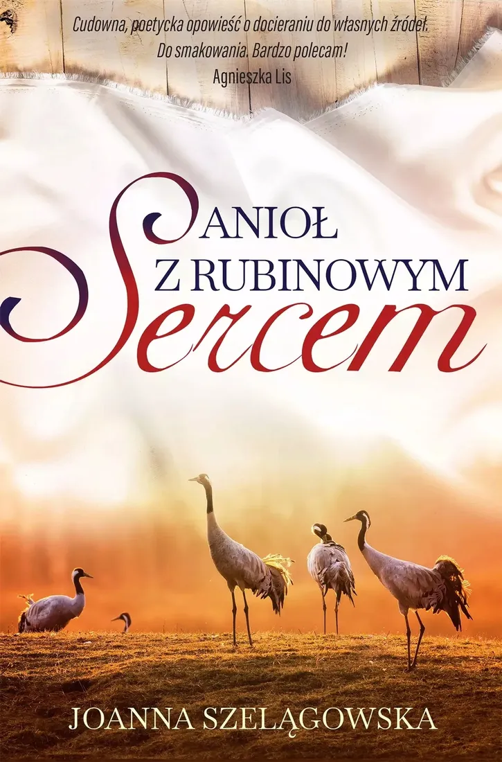 aniol-z-rubinowym-sercem