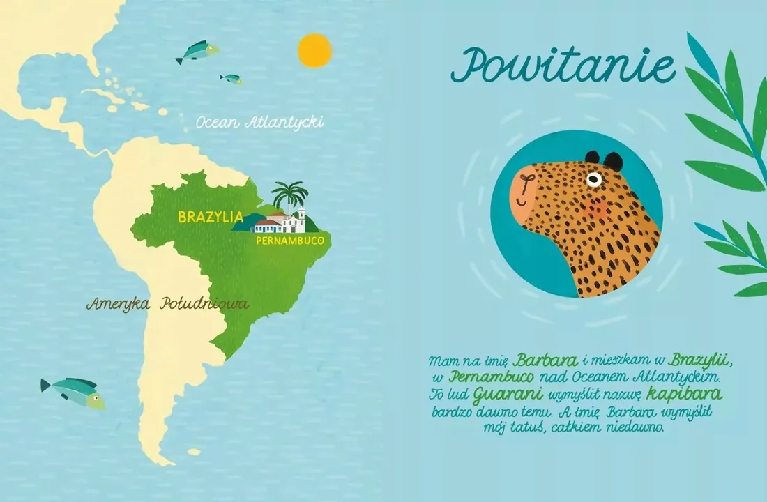 barbara-kapibara-stan-nowy