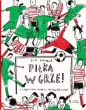 pilka-w-grze