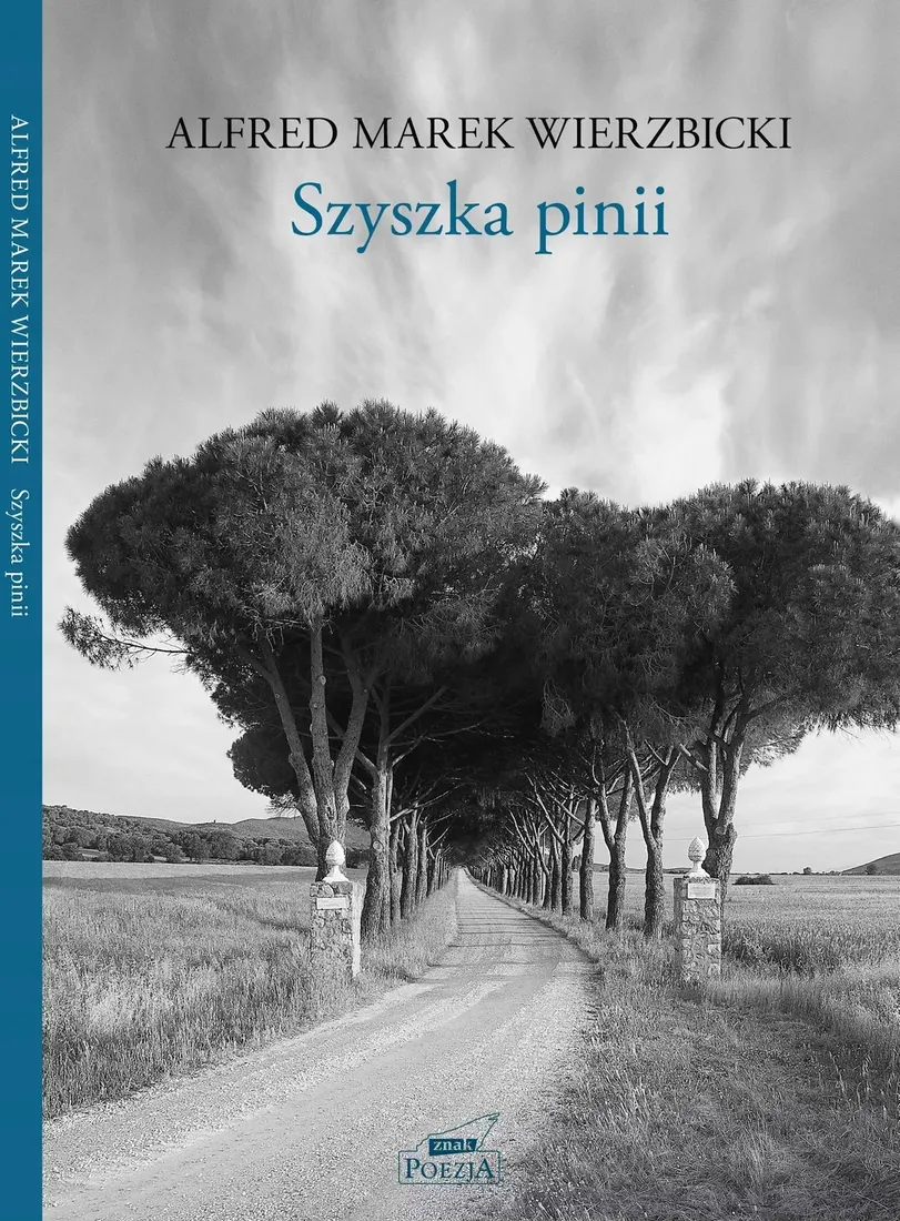 szyszka-pinii