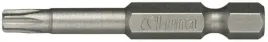 gorty-torx-t20-1-4-50mm-2szt-luna