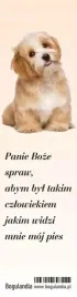zakladka-do-ksiazki-panie-boze-spraw