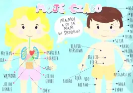 podkladka-na-biurko-moje-cialo