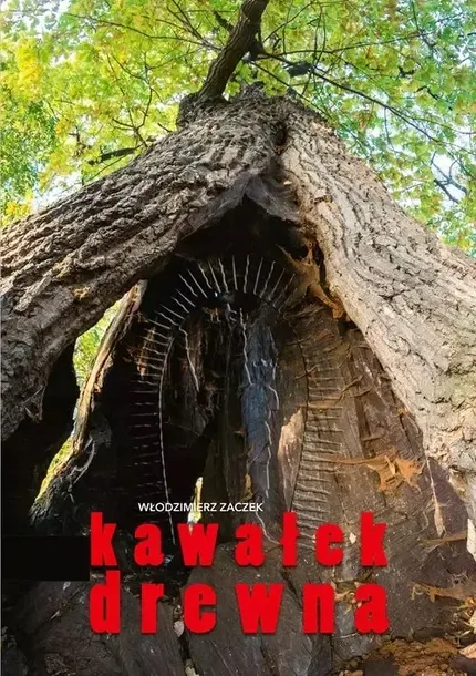 kawalek-drewna