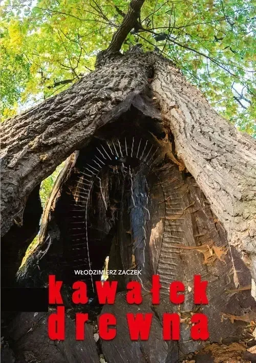 kawalek-drewna