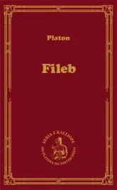 fileb-o-rozkoszy-srednich-etycznych