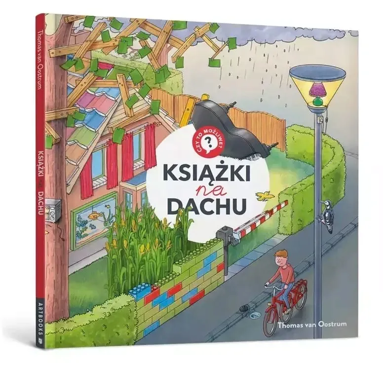 ksiazki-na-dachu
