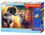 puzzle-260-new-friendship-castor