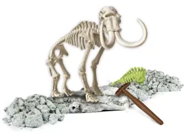 dinozaury-odkryj-zakopane-szczatki-mamuta-zloz-wydobyty-szkielet