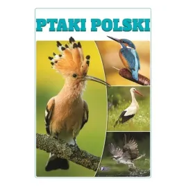 ptaki-polski-album-twarda-oprawa-32-strony