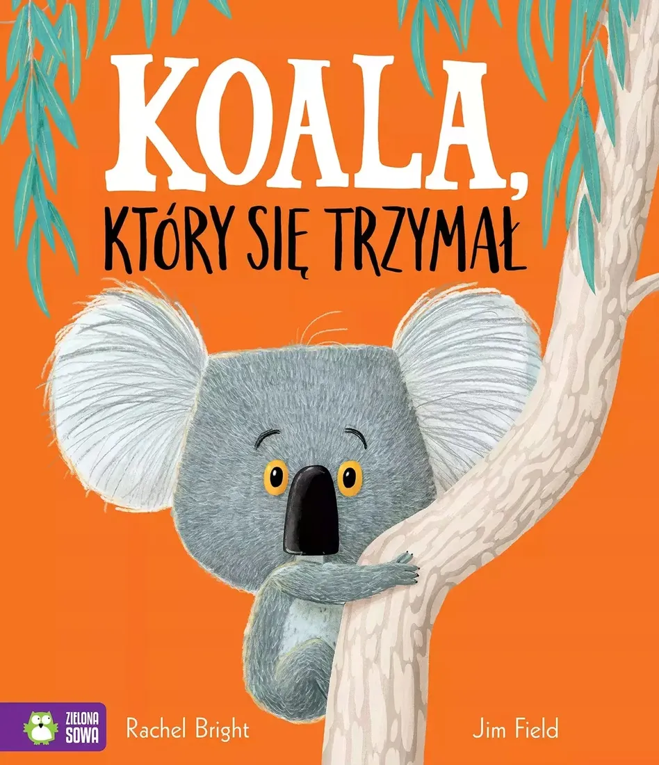 koala-ktory-sie-trzymal