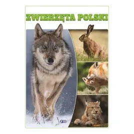 zwierzeta-polski-twarda-oprawa-32-strony
