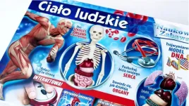 poznaj-calo-ludzkie-zestaw-dla-dzieci-cialo-ludzkie-naukowa