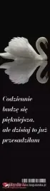 zakladka-do-ksiazki-codziennie-budze-sie-piekniejsza