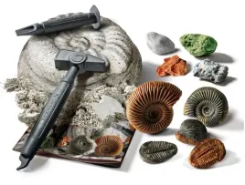zabawa-w-archeologa-geologa-skamieliny-i-mineraly-odkryj-skorupiaki