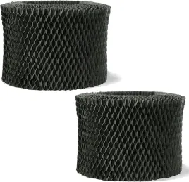 2x-filtr-do-nawilzacza-philips-hu4801-fy2401