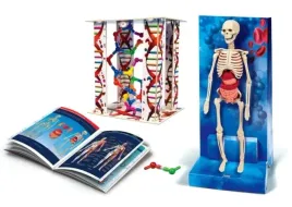 zestaw-dla-dzieci-budowa-ciala-anatomia-naukowa-zabawa