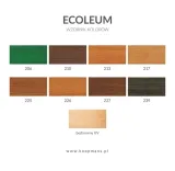 koopmans-ecoleum-impregnat-do-drewna-10l-206-rodzaj-impregnat