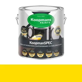koopmanspec-farba-antykorozyjna-na-rdze-beton-metal-drewno-025l-ral-1021