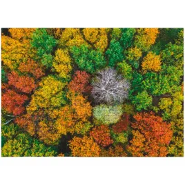 puzzle-wioska-dzemronia-ukraina-1000-elementow-do-ulozenia-kolorowy-obrazek