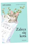 zaleca-sie-kota-sho-ishida