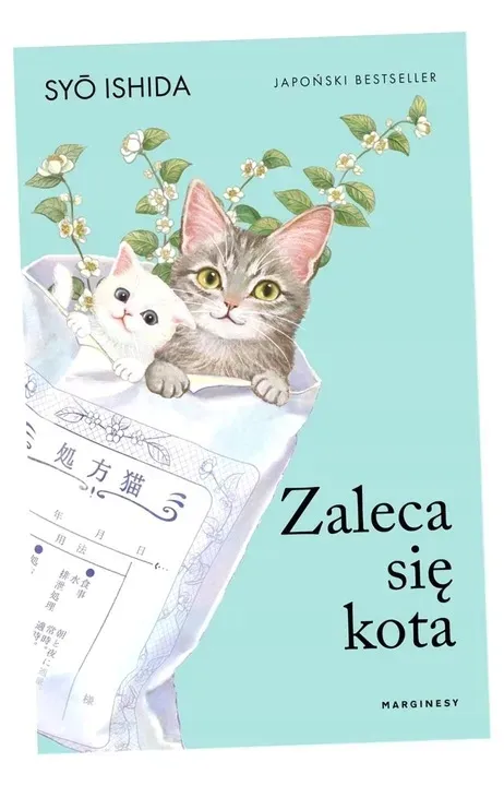 zaleca-sie-kota-sho-ishida